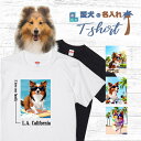 愛犬 名入れ スウェット トレーナー 犬 シェットランドシープドッグ セーブル 選べる デザイン 西海岸 スクエア プリント 上 服 プレゼント 誕生日 父の日...