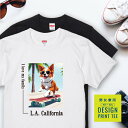 愛犬 Tシャツ 犬 ボーダーコリー レッド ホワイト スケボー 西海岸 スクエア プリント 半袖 服 プレゼント 誕生日 父の日 母の日 敬老の日 ギフト メン...