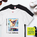 犬 tシャツ 半袖 ロングコート チワワ クリーム スケボー 西海岸 スクエア メンズ レディース ユニセックス 夏 海 ビーチ ハワイ リゾート フェス かわいい おしゃれ カジュアル 親子コーデ ペアルック 家族 ギフト プレゼント カリフォルニア サーフ アウトドア