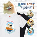 愛犬 名入れ Tシャツ 半袖 犬 ポメラニアン クリーム 選べる デザイン 西海岸 カレッジ メンズ レディース ユニセックス 夏 海 ビーチ ハワイ リゾート フェス かわいい おしゃれ カジュアル 親子コーデ ペアルック ギフト プレゼント カリフォルニア サーフ アウトドア