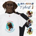 愛犬 名入れ Tシャツ 犬 ラブラドールレトリバー チョコ 選べる デザイン 西海岸 カレッジ プリント 半袖 服 プレゼント 誕生日 父の日 母の日 敬老の日 ギフト メンズ レディース カジュアル 大きい サイズ 有り ブランド シンプル 白 黒 アウトドア