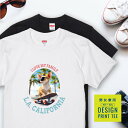 犬 tシャツ 半袖 スムースコート チワワ クリーム スケボー 西海岸 カレッジ メンズ レディース ユニセックス 夏 海 ビーチ ハワイ リゾート フェス かわいい おしゃれ カジュアル 親子コーデ ペアルック 家族 ギフト プレゼント カリフォルニア サーフ アウトドア