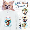 愛犬 名入れ スウェット トレーナー 犬 スムースコート チワワ クリーム 選べる デザイン 西海岸 カレッジ プリント 上 服 プレゼント 誕生日 父の日 母の日 敬老の日 ギフト メンズ レディース カジュアル トップス 大きい サイズ 有り ブランド シンプル アウトドア