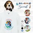 愛犬 名入れ スウェット トレーナー 犬 ビーグル トライカラー 選べる デザイン 西海岸 カレッジ プリント 上 服 プレゼント 誕生日 父の日 母の日 敬老...