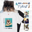 愛犬 名入れ Tシャツ 犬 ポメラニアン セーブル 選べる デザイン 西海岸 スクエア プリント 半袖 服 プレゼント 誕生日 父の日 母の日 敬老の日 ギフト...
