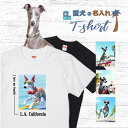 愛犬 名入れ Tシャツ 犬 イタリアン グレーハウンド ブルー 選べる デザイン 西海岸 スクエア プリント 半袖 服 プレゼント 誕生日 父の日 母の日 敬老...
