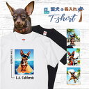 愛犬 名入れ Tシャツ 犬 ミニチュアピンシャー チョコ タン 選べる デザイン 西海岸 スクエア プリント 半袖 服 プレゼント 誕生日 父の日 母の日 敬老の日 ギフト メンズ レディース カジュアル 大きい サイズ 有り ブランド シンプル 白 黒 アウトドア
