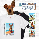 愛犬 名入れ Tシャツ 犬 ミニチュアピンシャー レッド 選べる デザイン 西海岸 スクエア プリント 半袖 服 プレゼント 誕生日 父の日 母の日 敬老の日 ...