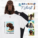 愛犬 名入れ Tシャツ 犬 コッカースパニエル チョコ 選べる デザイン 西海岸 スクエア プリント 半袖 服 プレゼント 誕生日 父の日 母の日 敬老の日 ギフト メンズ レディース カジュアル 大きい サイズ 有り ブランド シンプル 白 黒 アウトドア