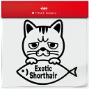 エキゾチック ショートヘア Aタイプ 猫 ネコ ねこ 種類 品種 名入り ステッカー シール 愛猫 かわいい ペット オーナー グッズ 雑貨 アイテム 車 自動...