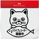 エキゾチック ショートヘア Bタイプ 猫 ネコ ねこ ドラレコ ドライブレコーダー 録画中 撮影中 あおり 煽り 運転 防止 御守り 防犯 ステッカー シール ...