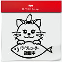 チンチラ ちんちら ペルシャ 猫 ネコ ねこ ドラレコ ドライブレコーダー 録画中 撮影中 あおり 煽り 運転 防止 御守り 防犯 ステッカー シール 愛猫 か...