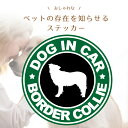 ボーダーコリー おしゃれ カフェ 風 dog in car BORDER COLLIE 車 ステッカー シール 犬 ワンコ 愛犬 乗ってます ドッグ イン カー 走ります 人気 面白い パロディ お洒落 オシャレ 可愛い オーナー グッズ 防水 アクセサリー 雑貨