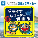 SDGs 寄付 シーサー ドライブレコーダー 録画中 ドラレコ 煽り 運転 危険 いたずら 撮影中 警告 注意 セキュリティ 車間 被害 事故 防止 沖縄 海 ...