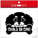 ダックスフンド 犬 ステッカー CHILD IN CAR 子供 乗ってます 車 自動車 エンブレム シール デカール アクセサリー ブランド アウトドア グッズ...