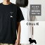 Tシャツ 半袖 コリー ラフコリー こりー 犬 ロゴ 左胸 プリント シルエット 縦 ライン メンズ レディース カジュアル 大きい サイズ ゆったり かわいい おもしろい ブランド シンプル 白 黒 ティーシャツ グッズ アウトドア 1,980円