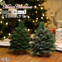 クリスマスツリー 卓上 北欧 おしゃれ クリスマスツリー ミニ オーナメント 25cm 松ぼっくり ミニクリスマスツリー クリスマスツリー 飾り グリーン 雪加...