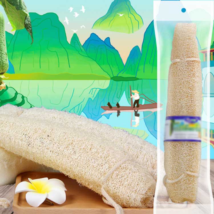 キャリアセレクトの体洗い ボディタオル へちま 背中用 へちまスポンジ バススポンジ ヘチマたわし ボディスポンジ お風呂 シャワー あかすり 垢すり ひも｜アングル3