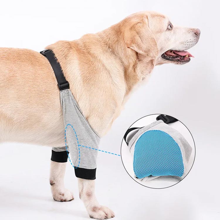ガード 床ずれ防止 傷舐め防止 前足 老犬 前足関節保護 サポーター 膝 プロテクタ...