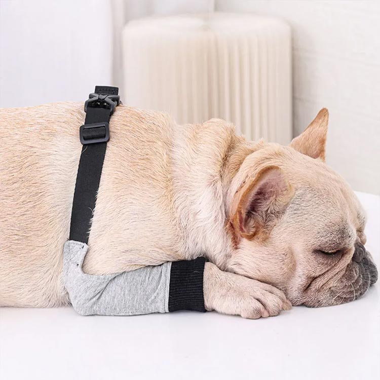 ガード 床ずれ防止 傷舐め防止 前足 老犬 前足関節保護 サポーター 膝 プロテクタ...