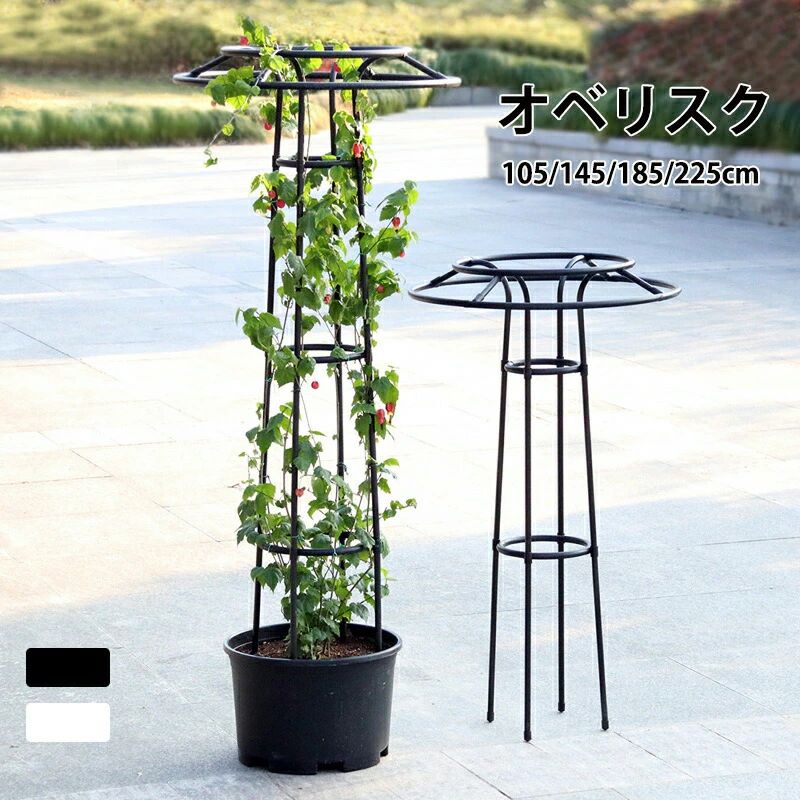 素材：スチールパイプ(樹脂コーティング)、プラスチック 総高さ：105cm　直径29cmの鉢におすすめ 総高さ：145cm　直径32cmの鉢におすすめ 総高さ：185cm　直径36cmの鉢におすすめ 総高さ：225cm　直径40cmの鉢におすすめ 商品内容は写真ご参照ください。 植物の成長を補助する 植物の葉が密集しなくなり、光合成を促進。 バランスを整え、重さで茎が折れるのを防げます。 製造元：中国