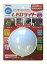 X100 リーベックス LEDラ...
