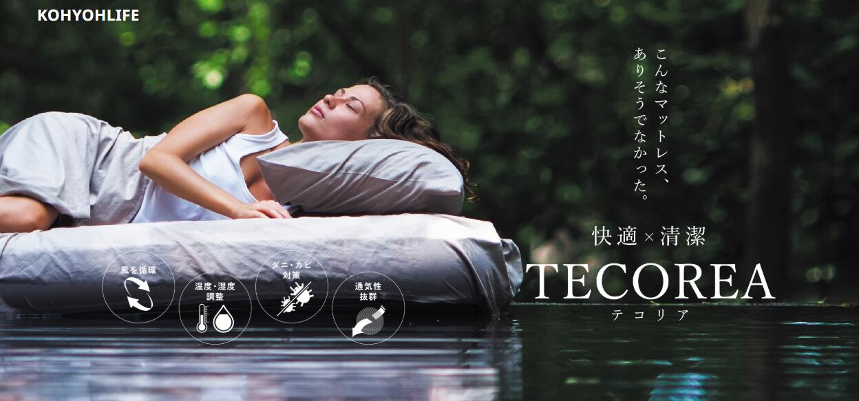 テコリア TECOREA マットレス トッパー クイーン 厚み6cm 温度湿度コントロール 多機能マットレス ダニカビ対策