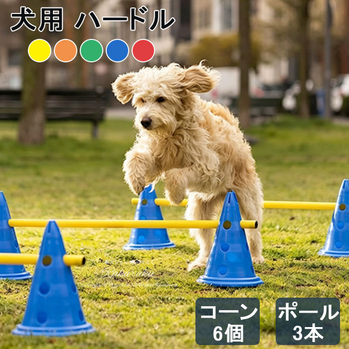 ・3セット構成で効率的なトレーニングが可能。高さ約32cmのコーン6個とポール3本が含まれており、連続ハードルや多頭同時練習に最適。ドッグランや自宅で本格的なアジリティコースを簡単に作成でき、愛犬の運動能力向上やしつけトレーニングに役立ちます。・高さ調整可能な設計で、子犬から成犬まで幅広く対応。コーン(32cm)の穴にポールを差し込むだけで複数段階の高さ調節ができ、体格や運動レベルに応じた安全なトレーニングが可能。初心者の犬でも安心してアジリティ練習を始められます。・柔軟性のある高品質プラスチック素材を採用し、安全性に配慮。ポールに触れても衝撃を吸収しやすく、ケガのリスクを軽減。耐久性にも優れており、屋外での使用や繰り返しのトレーニングにも安心して使用できます。・工具不要で簡単に組立・分解ができ、持ち運びや収納も便利。コーンは重ねてコンパクトに収納可能で、省スペース設計。庭や公園、室内などさまざまな場所で気軽に使用でき、日常の運動不足解消に最適です。・多機能で幅広い用途に対応。ハードル練習だけでなく、スラロームや障害物コース作成、スポーツ練習用マーカーとしても活用可能。ペットトレーニングから子供の遊びまで、様々なシーンで使える実用性の高いセットです。・表記サイズに関しましては、平置きにて採寸したおおよそのサイズとなります。多少の誤差が生じる場合がございますので、あらかじめご了承くださいませ。・発送上の状態によって商品がシワになる場合がございます。予めご了承くださいませ。・生産時期やご使用のパソコンモニターの種類や設定により、実物と色の見え方が異なる場合がございます。・説明書・パッケージは英語、もしくは中国語の表記の場合がございます。予めご了承ください。・予告なく多少の仕様変更がある場合がございます。犬 アジリティ ハードル コーン 6個 ペット ペットグッズ 早い者勝ち レッド ブルー オレンジ グリーン イエロー レッド ブルー オレンジ グリーン イエロー