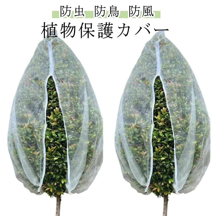 商品画像2