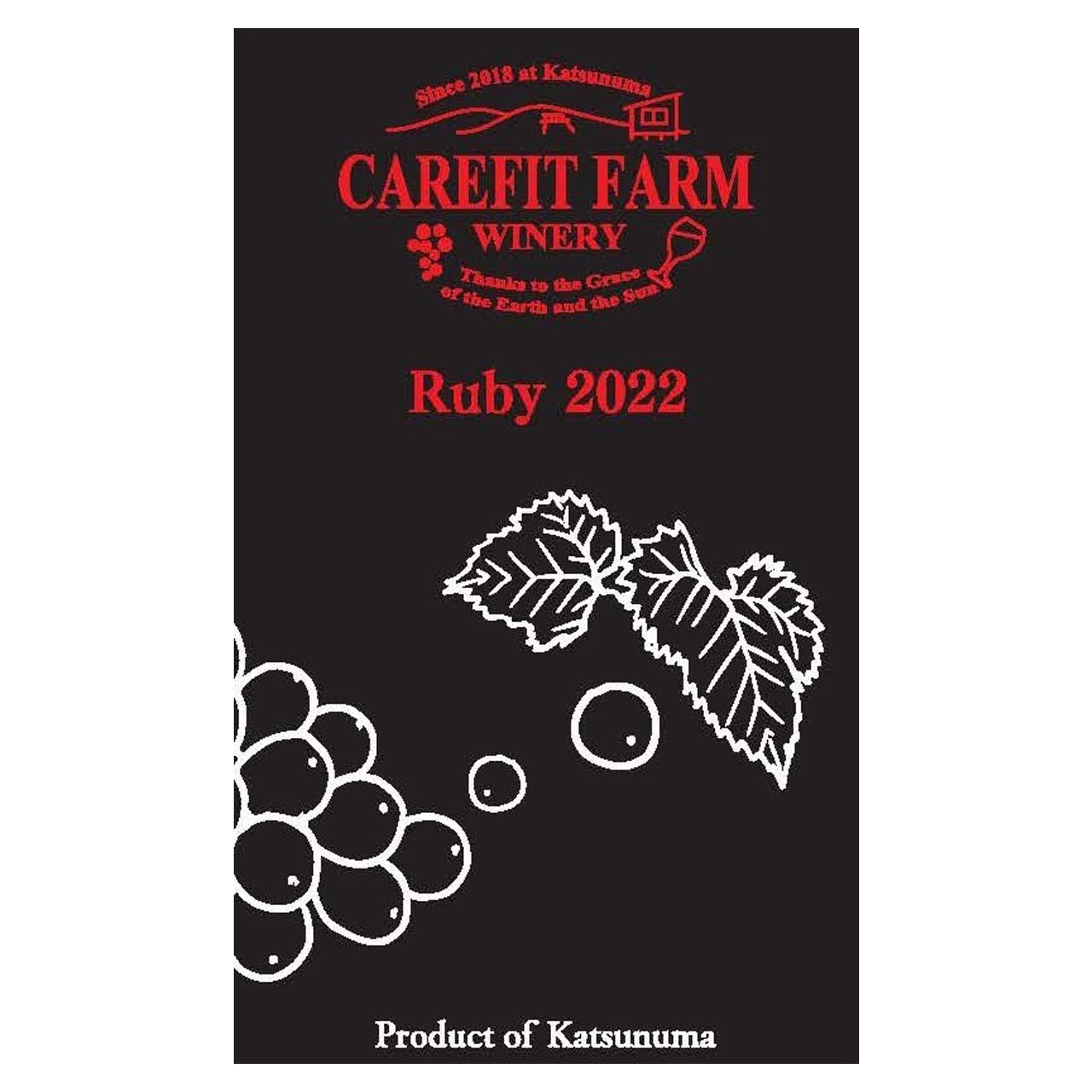 Ruby 2022 ~ルビー 2022~ 750ml 勝沼産マスカット・ベーリーAの樽熟成赤ワイン 赤ワイン ワイン ギフト おすすめ 国産 人気 辛口 ミディアムボディ 希少 無添加 酸化防止剤無添加 勝沼 プレゼント 父の日 母の日 carefitfarm-10000075 けあふぃっとふぁーむ サンプル画像2