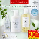 【30%OFF 特別価格】4日20時スタート★【公式】ケアネス 美容室専売 FC フレッシュシトラス シャンプー コラーゲン 500ml&トリートメント 400g&ヘアオイル リノ 92ml セット careness ギフト プレゼント メンズ兼用 くせ毛改善