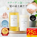 【25%OFF 特別価格】期間限定【公式】ケアネス 美容室専売 シャンプー コラーゲン FC 500ml&トリートメント 美容室専売 フレッシュシトラス 400g セット(careness ギフト プレゼント 記念日 クリスマス メンズ兼用 ノンシリコン くせ毛 改善