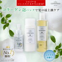 ケアネス 美容室専売 フレッシュシトラス シャンプー コラーゲン タンパク質 300ml&トリートメント 200g&ヘアオイル リノ 92ml セット careness メンズ ノンシリコン サロン くせ毛 改善 クーポン