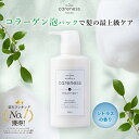 ケアネス 美容室専売 トリートメント 美容液 FC フレッシュシトラス 400g careness ギフト プレゼント 記念日 クリスマス 洗い流す 有効成分浸透 インバストリートメント キューティクル補修 くせ毛 改善 サロン専売品 ダメージケア 髪質改善 レビュークーポン対象