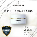 ケアネス（CARENESS） ザ クリーム 30g / ギフト プレゼント 記念日 新生活 クリスマス / ヒフロ成分 浸透型 透明感 バルーン成分 ビタミンC誘導体 発酵エキス 美白ケア ハリ ツヤ キメ たるみ くすみ シワ 保湿 弾力 目元 乾燥 化粧品