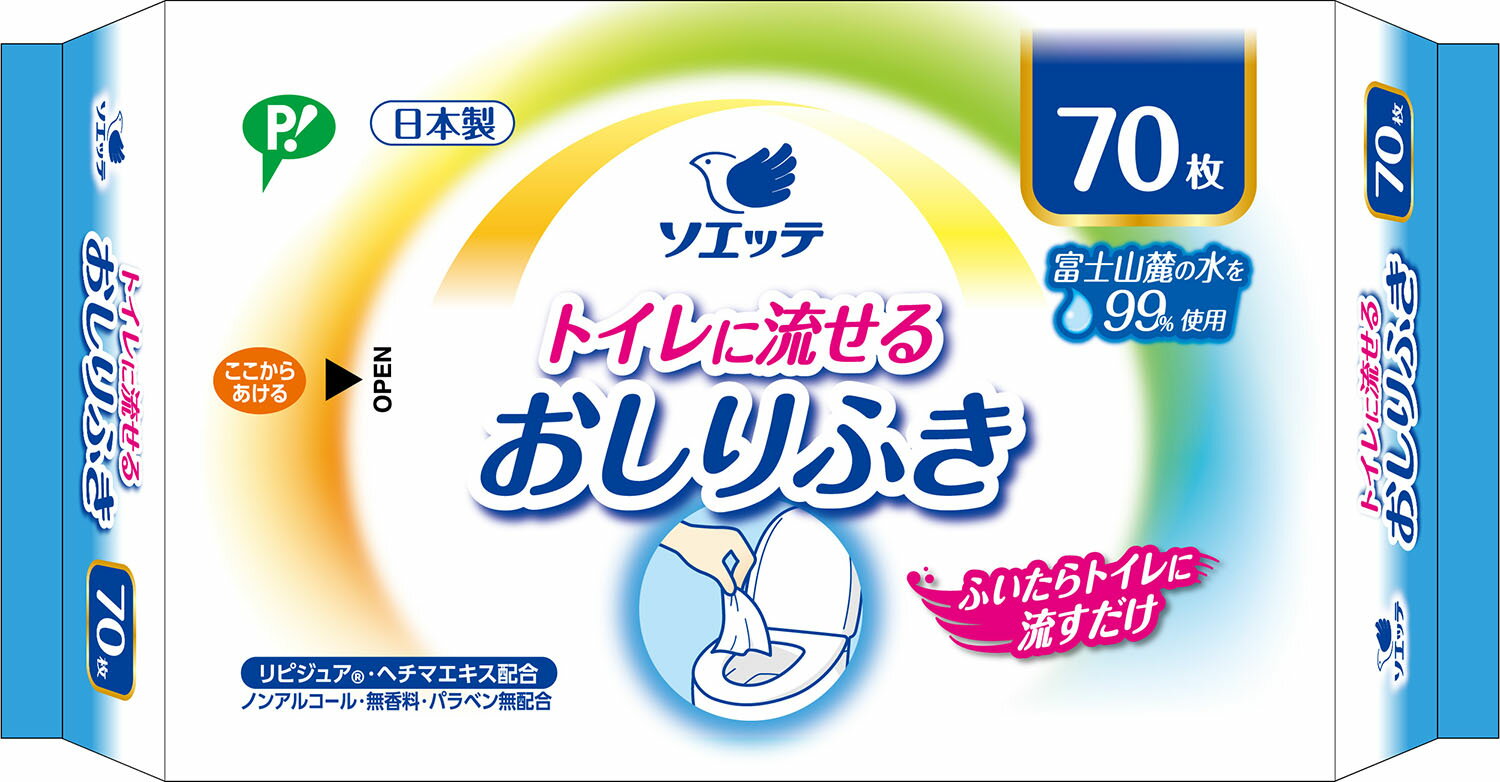 第一紙工 大人用 おしりふき 流せるタイプ【70枚入】お尻拭き お尻ふき おしり拭き トイレ 流せる トイレに流せる おしりふき流せる 厚手 大人 業務用 介護用 お得 介護 看護 医療 病院 日本製 ウェットティッシュ DP大人用流せるおしりふき
