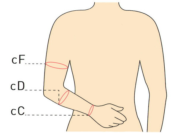 【送料無料】SOLIDEA ARM CARE アームスリーブ【24hPa (18mmHg)】着圧 大きいサイズ ベージュ イタリア製 ソリディア ソリデア むくみ 浮腫 医療用 静脈瘤 下肢静脈瘤 弾性 抗菌 ズレにくい 腕 アーム サポーター 肩 左右兼用 二の腕 ロング