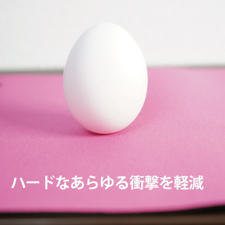 ケアスターCARESTAR防水シートカバーシングル12