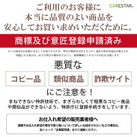 CARESTAR防水シートカバーダブル9