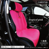 CARESTAR防水シートカバーシングル4