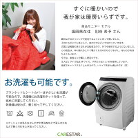 あったかシートヒーターシートカバーCARESTAR4