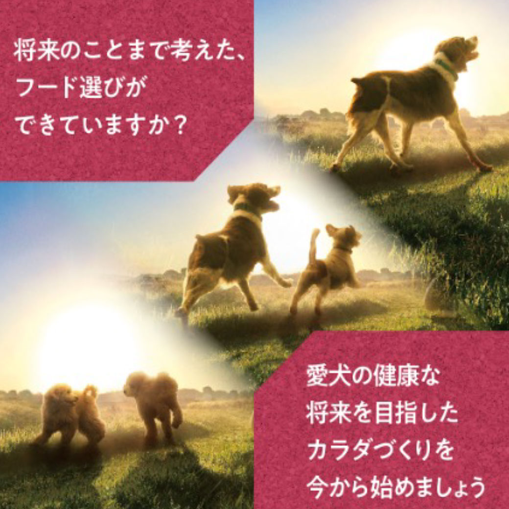 ユニチャーム フィジカライフ 子犬用 チキン＆大豆入り 2kg 3