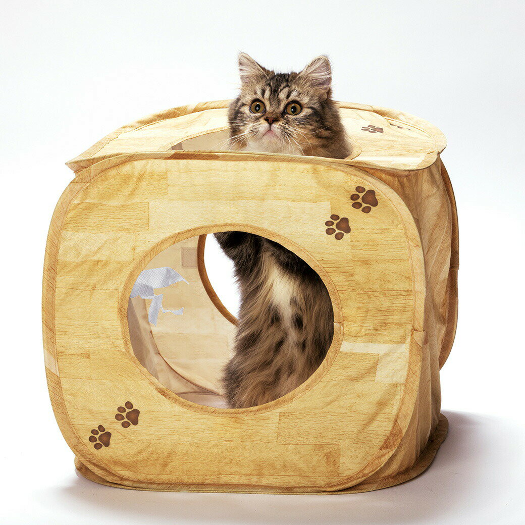 猫壱 キャットプレイキューブ 木目柄 ■ 猫用 おもちゃ