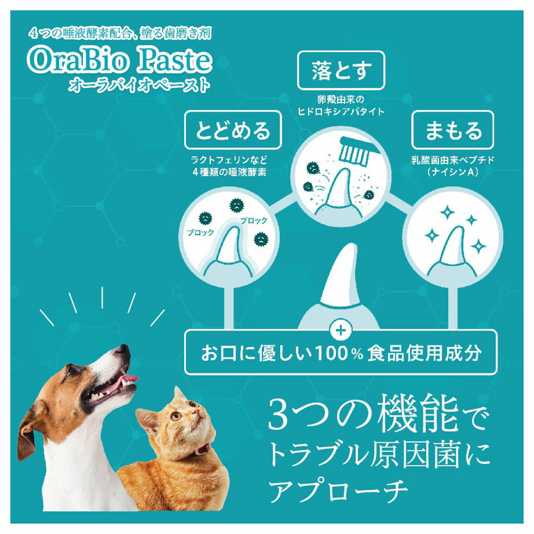 BYRON OraBio オーラバイオペースト 50g ■ 犬用 猫用 デンタルケア 歯磨きペースト 歯磨き
