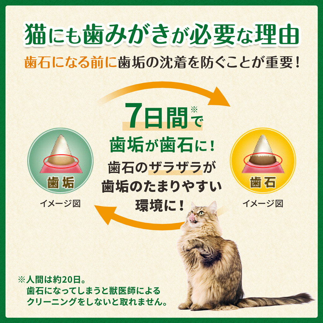 公認店 グリニーズ 猫用 キャット 香味サーモン味 130g×3個 オーラルケア 2