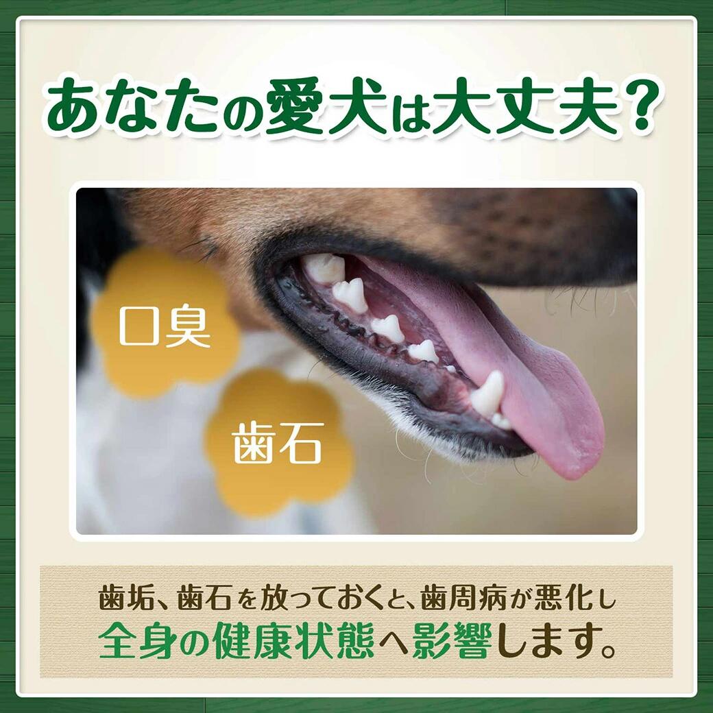 グリニーズ（Greenies） 正規品 グリニーズプラス 成犬用 超小型犬用 2-7kg 6本入 オーラルケア ■ ドッグフード 歯磨きガム 犬用おやつ デンタルケアガム ぐりにーず 犬用品 ペット用品