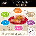 【お買得セール】シーザー Cesar 絹ささみ チーズ入り 100g 8個入り ■ ドッグフード ウェットフード 総合栄養食 全犬種 セット マースジャパン 3