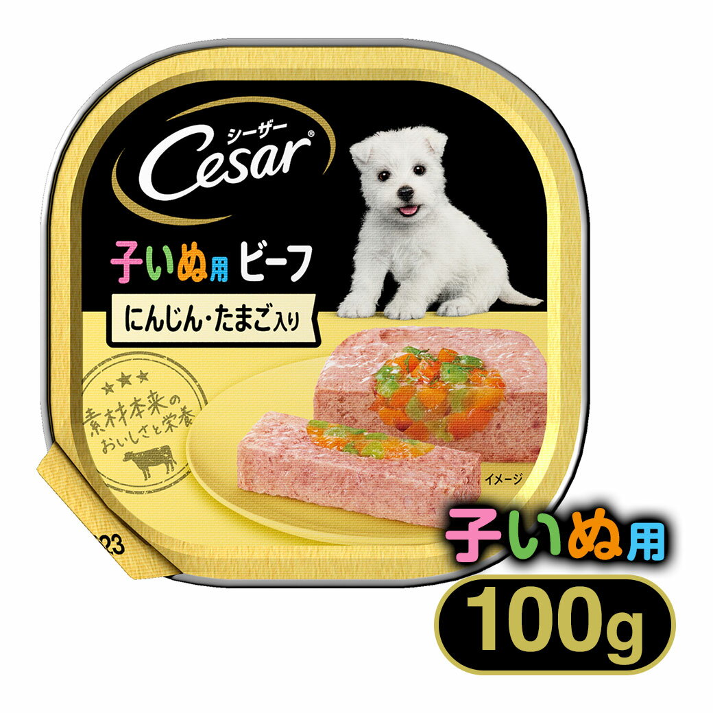 V[U[ Cesar 2 qp r[t ɂ񂶂E܂ 100g  hbOt[h EFbgt[h