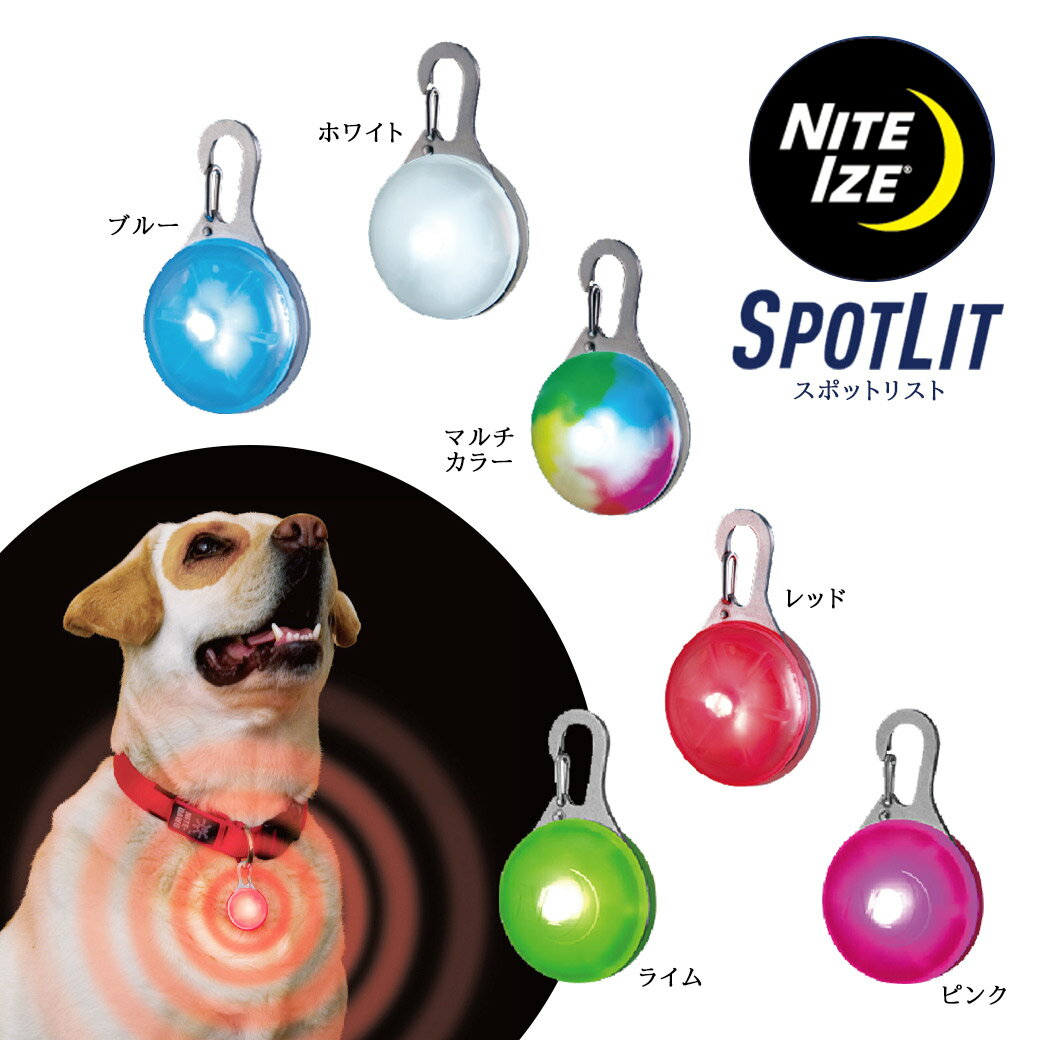 ナイトアイズ スポットリット 犬用 お散歩 ライト LED NITE IZE SPOTLIT