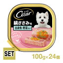 Cesar V[U[ ݔgEؓ 100g~24